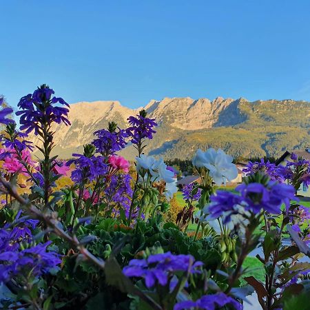 Haus Karina Hotel Bad Mitterndorf Buitenkant foto